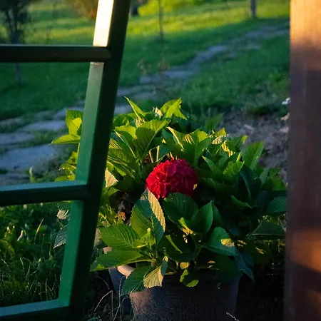 Johanca Alpstuga Obrov