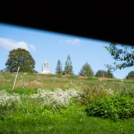 Johanca Alpstuga Obrov