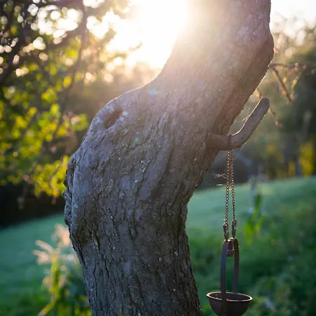Alpehytte Johanca Obrov