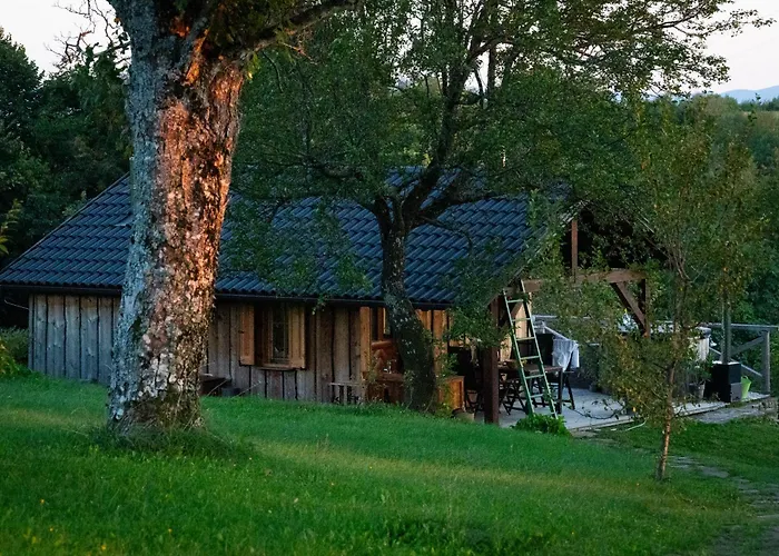 シャレー Johanca Obrov