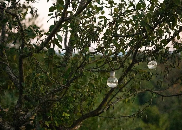 シャレー Johanca *