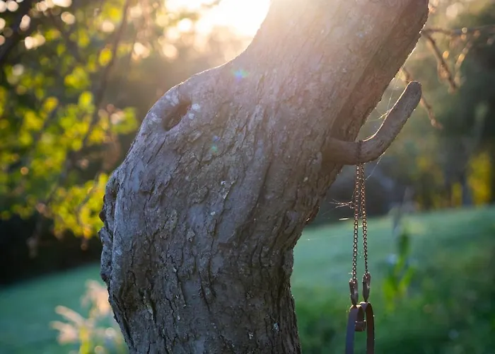 シャレー Johanca Obrov