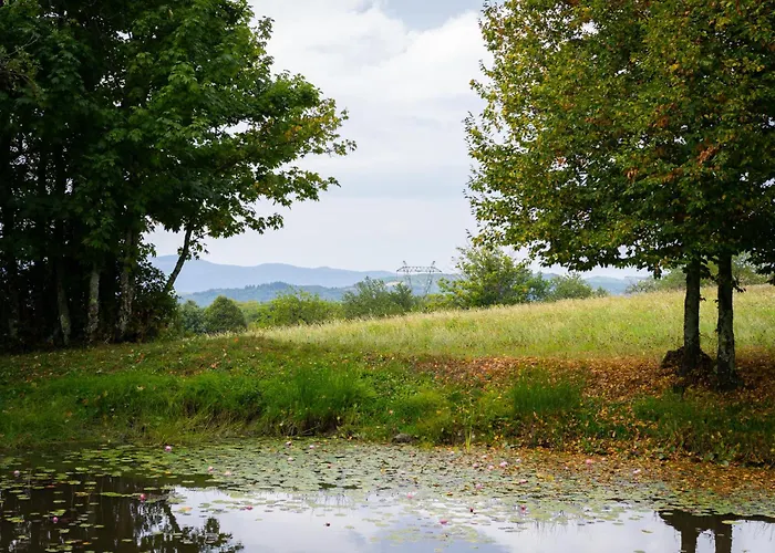 Johanca シャレー *