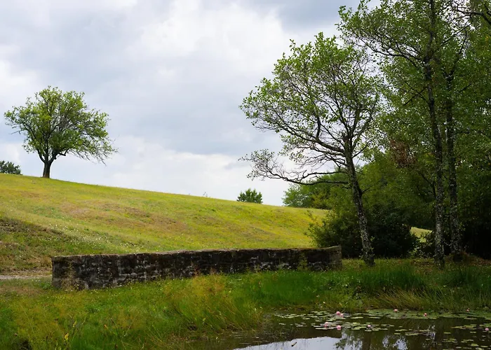 シャレー Johanca