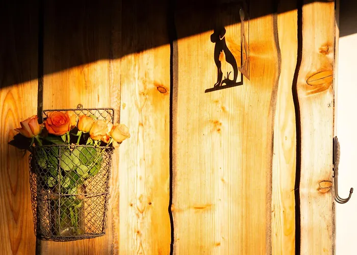 Johanca シャレー *